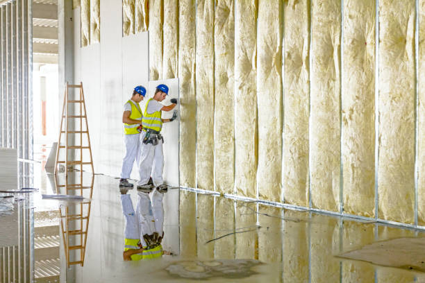 Best Attic Insulation Installation  in New Brighton, PA